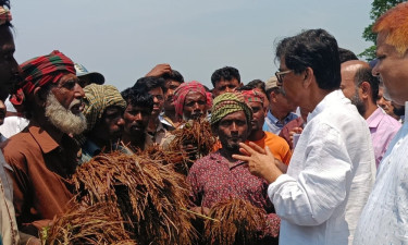 ধান পচে যাওয়ার যে কী কষ্ট, সেটা আমি বুঝি : কৃষিমন্ত্রী