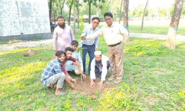 দেবীগঞ্জে বৃক্ষরোপণ কর্মসূচি