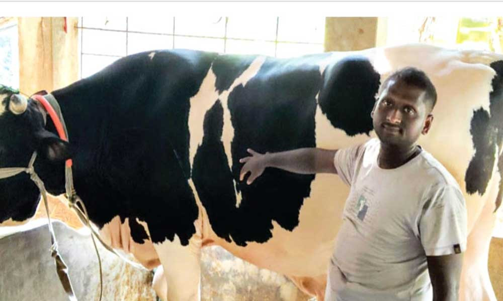 কোরবানির গরু কিনলে ছাগল উপহার