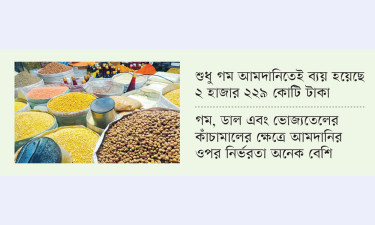 নিত্যপণ্যের আমদানিতে মাসে খরচ সাড়ে ৫ হাজার কোটি টাকা