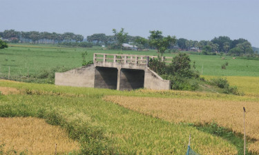 ১০ বছরে হয়নি সংযোগ সড়ক, সেতু এখন বিষফোড়া