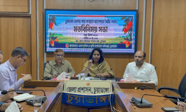কোন জাতের আম বাজারে মিলবে কবে, জানা গেল