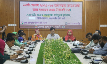 নওগাঁয় ২২ মে থেকে আম সংগ্রহ শুরু