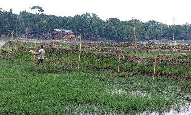 খাসজমি থেকে ভূমিহীনদের উচ্ছেদের চেষ্টা