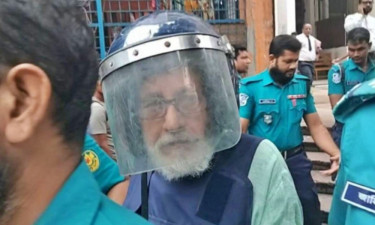 মিরপুর ও রমনা থানার হত্যা মামলায় আসাদুজ্জামান নূরের জামিন