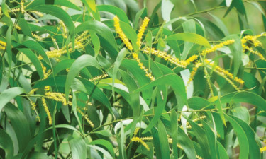 এসএসসির প্রস্তুতি :  বহু নির্বাচনী মডেল প্রশ্ন