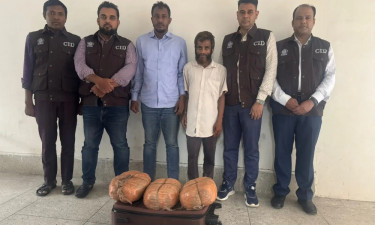 রাজধানীতে ৬ কেজি গাঁজাসহ আটক ২ মাদক কারবারি