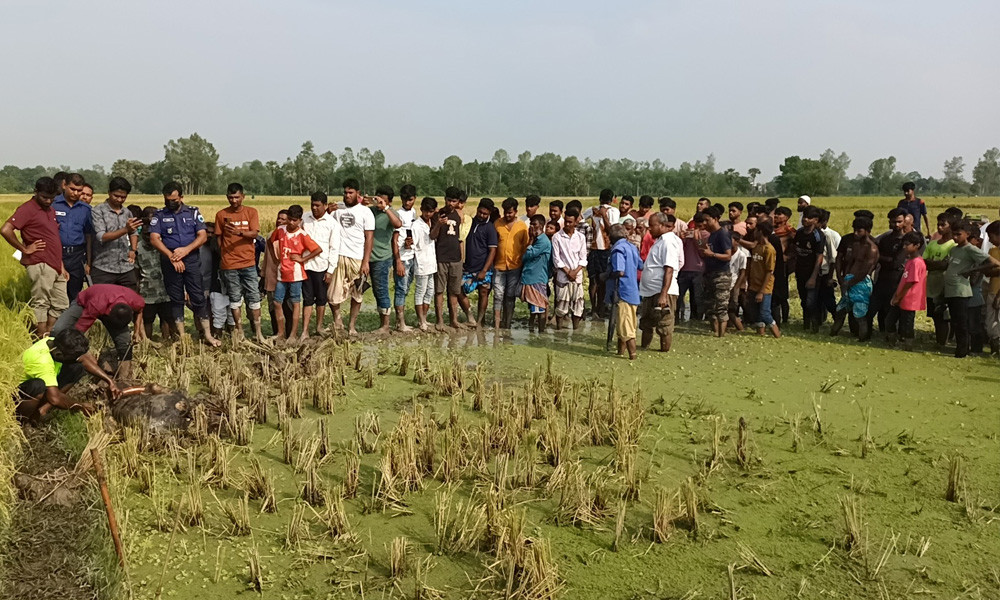 ফসলি মাঠ থেকে মাটি চাপা দেওয়া অজ্ঞাত ব্যক্তির মরদেহ উদ্ধার