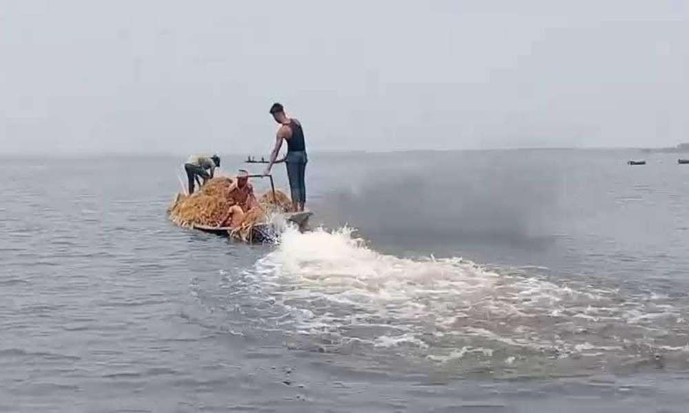 হাওরে কৃষকের ডুবে যাওয়া ধান লুটে নিচ্ছে দুষ্কৃতিকারীরা