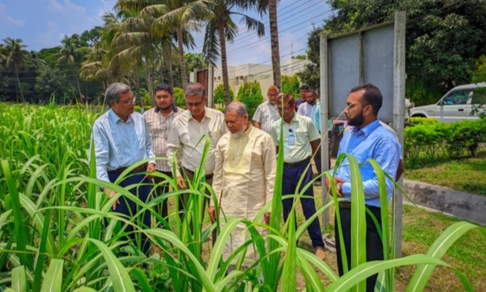 কৃষকের লাভজনক উৎপাদন নিশ্চিতে গবেষণার বিকল্প নেই : এমপি আবু তালেব