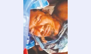 সুন্দরবনে বাঘের মুখ থেকে বেঁচে ফিরলেন মৌয়াল