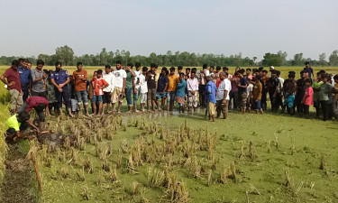 ফসলি মাঠ থেকে মাটি চাপা দেওয়া অজ্ঞাত ব্যক্তির মরদেহ উদ্ধার