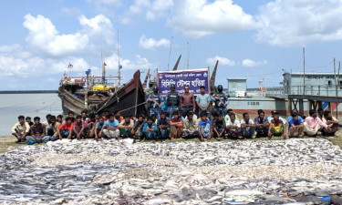মেঘনায় নিষেধাজ্ঞা অমান্য করে মাছ ধরায় ৪৫ জেলে আটক