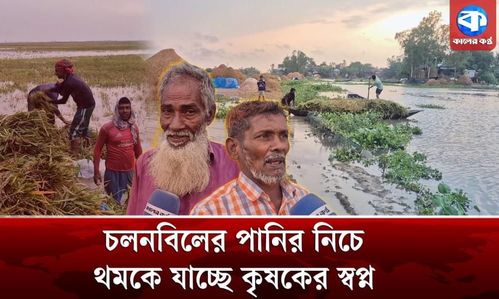 নাটোরে হাজার হাজার বিঘা জমির ধান পানির নিচে