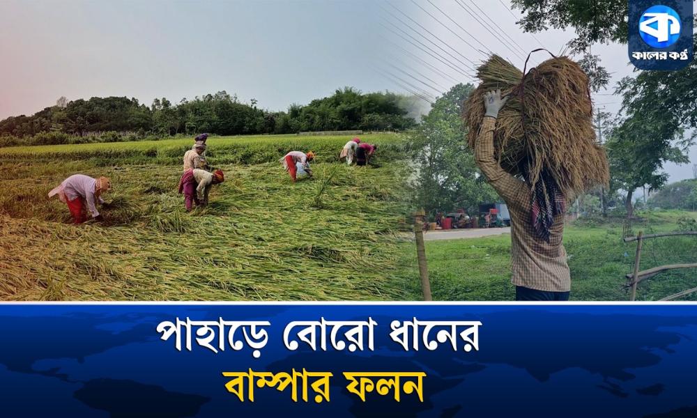 খাগড়াছড়িতে বোরো আবাদে ভালো ফলন, ঝড়বৃষ্টিতে শঙ্কা
