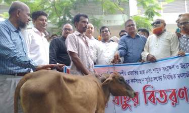 প্রান্তিক জনগোষ্ঠীর জীবনমান উন্নয়নে প্রধানমন্ত্রী কাজ করে যাচ্ছেন : এমপি সেলিমুজ্জামান
