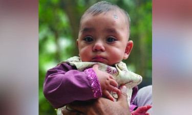 ‘সাতটি হাসপাতালে নিয়েও আমার আদরের মানিককে বাঁচাতে পারলাম না’
