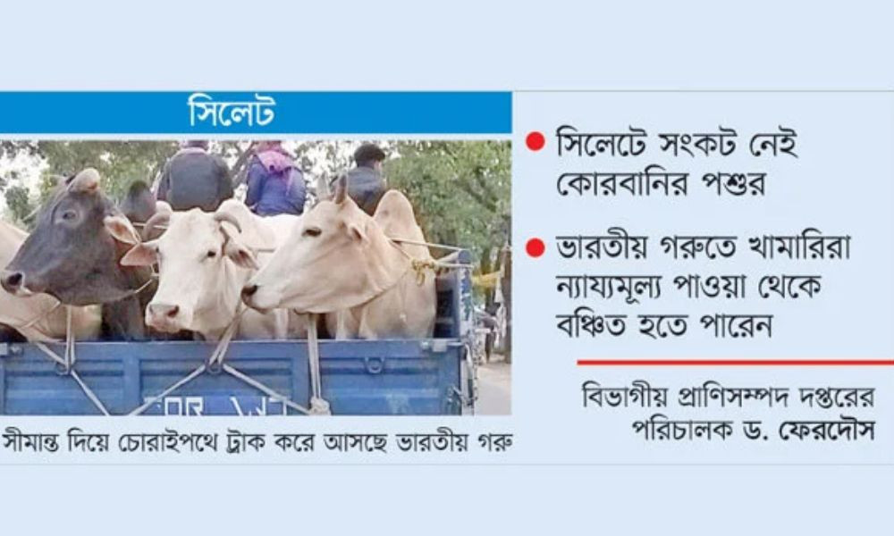 ‘বর্ডার ক্রস’ গরুতে শঙ্কায় খামারিরা