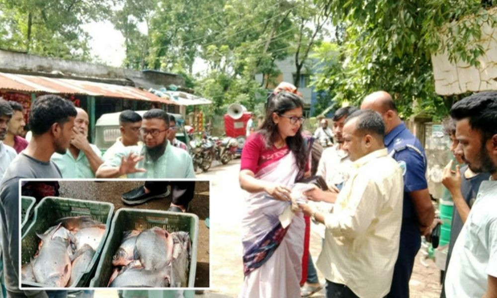 বুড়িচংয়ে ৩৭ কেজি নিষিদ্ধ পিরানহা মাছ জব্দ, ব্যবসায়ীকে জরিমানা