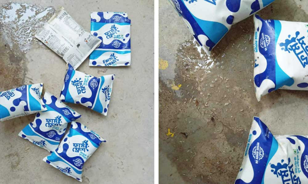 মিড ডে মিল : দুধের প্যাকেটে পোকা ও দুর্গন্ধের অভিযোগ