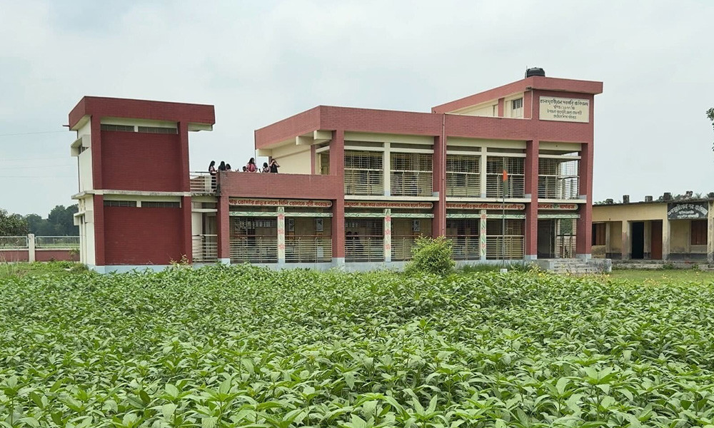 দপ্তরির চাকরি না পেয়ে স্কুলমাঠে পাটচাষ!