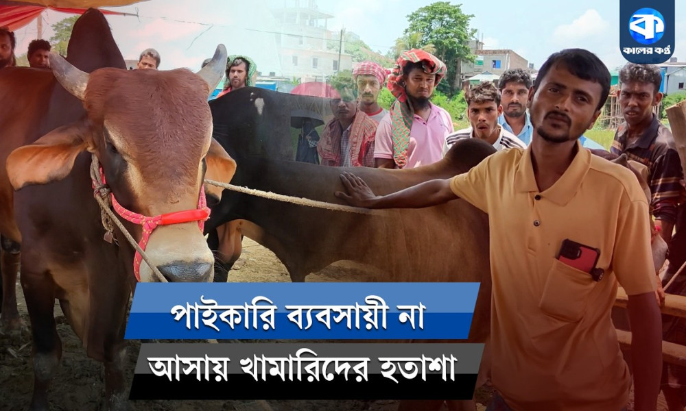 লংগদুর পশুর হাটে ক্রেতার মুখে হাসি, বেপারি সংকটে বিক্রেতারা