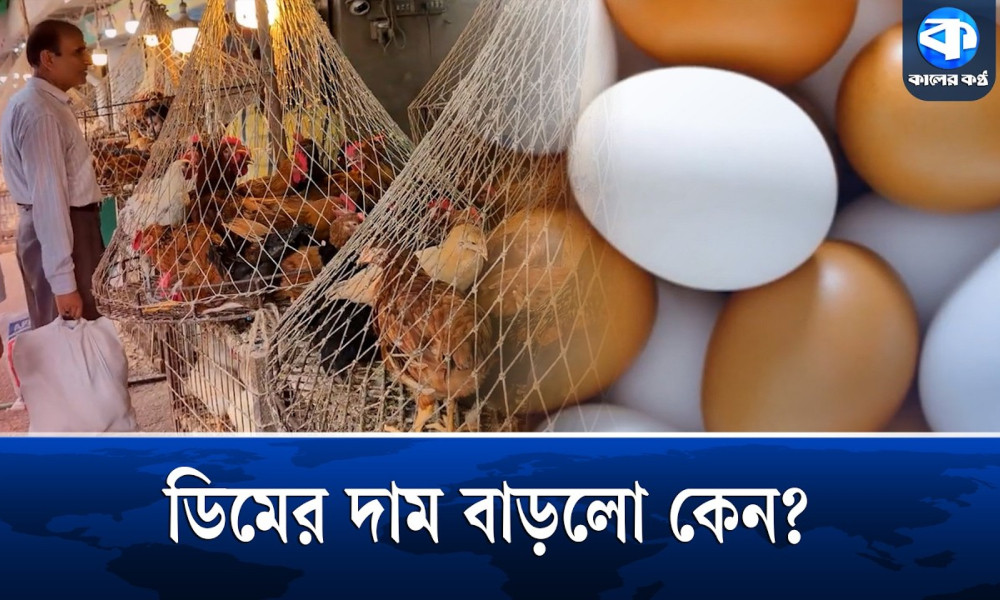হঠাৎ কেন ডিমের বাজার অস্থির?