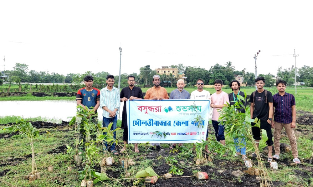 পরিবেশ রক্ষায় মৌলভীবাজারে বসুন্ধরা শুভসংঘের বৃক্ষরোপণ অভিযান