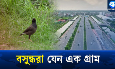 স্বনির্ভরতার অনন্য প্রতীক বসুন্ধরা