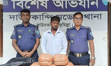 দাউদকান্দিতে গাঁজাসহ কারবারি গ্রেপ্তার