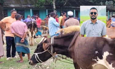 অনুমতি ছাড়াই কলেজে পশুর হাট বসালেন ছাত্রদল নেতা