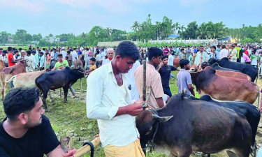 রামুতে কোরবানির পশুর হাটে অতিরিক্ত হাসিল আদায়ের অভিযোগ