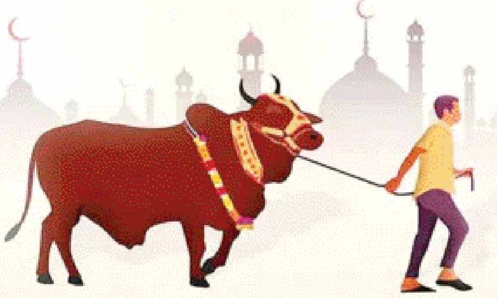 কোরবানি সম্পর্কে যে ১০ বিষয় জানা জরুরি