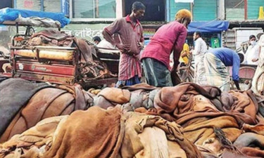ক্রেতা নেই, শ্যামনগরে মাটিতে পুঁতে ফেলা হচ্ছে কোরবানির চামড়া
