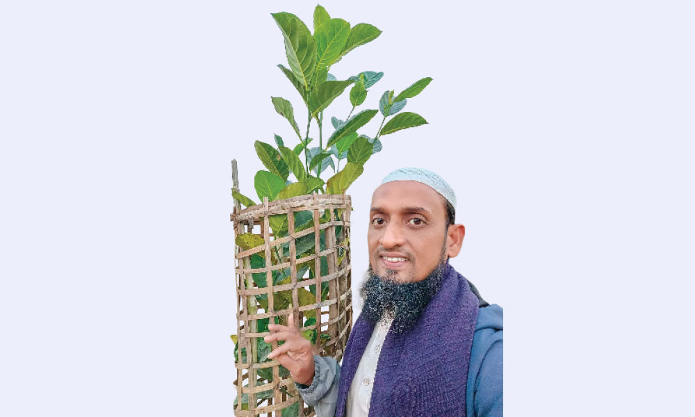 শুধু গাছ লাগানোই নয়, পরিচর্যাও করেন তিনি
