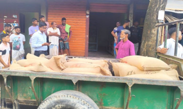 নেত্রকোনায় সরকারি চাল ক্রয় ও মজুদের দায়ে ব্যবসায়ীকে জরিমানা