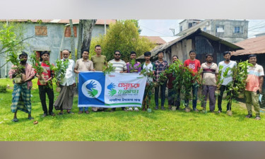 গলাচিপায় বসুন্ধরা শুভসংঘের উদ্যোগে বৃক্ষরোপণ ও চারা বিতরণ