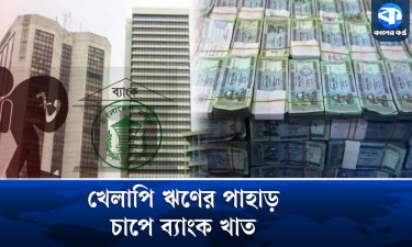 ব্যবসা ধসের মাশুল খেলাপি ঋণ