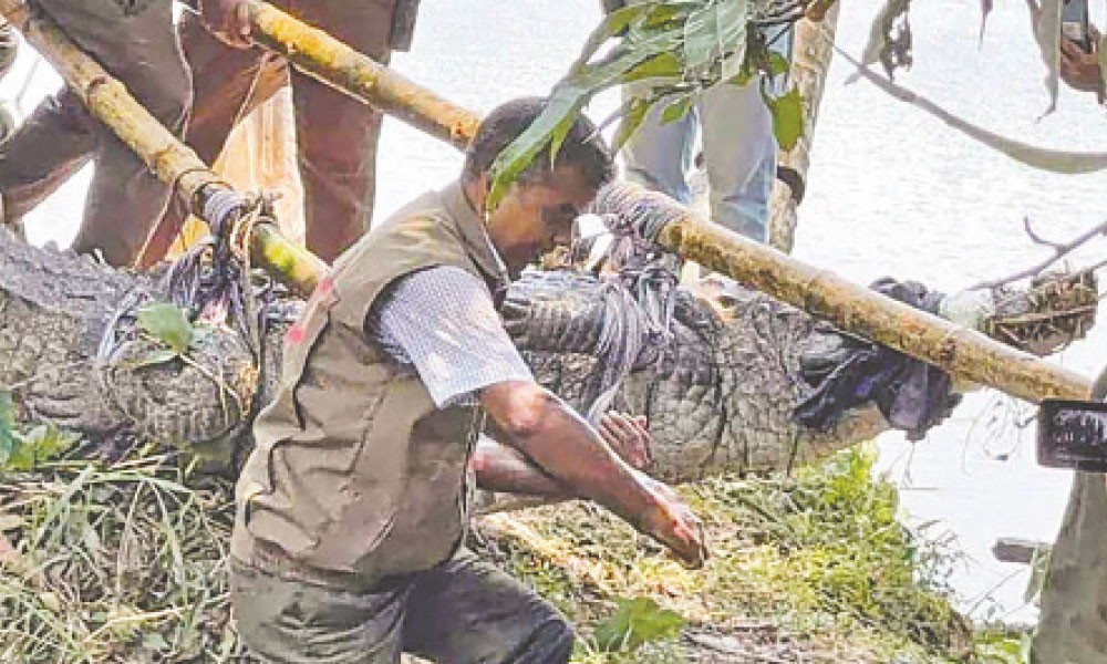 ‘ধলাপাহাড়ের’ স্থানান্তরে কারো কষ্ট কারো স্বস্তি