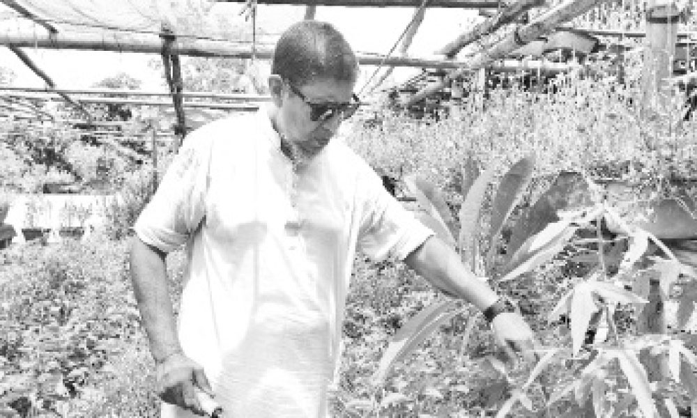 ৪০ বছর ধরে বিনামূল্যে গাছ বিতরণ রাজনের