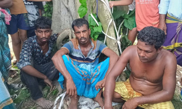 গাজীপুরে গরু চুরির অভিযোগে তিনজনকে গণপিটুনি