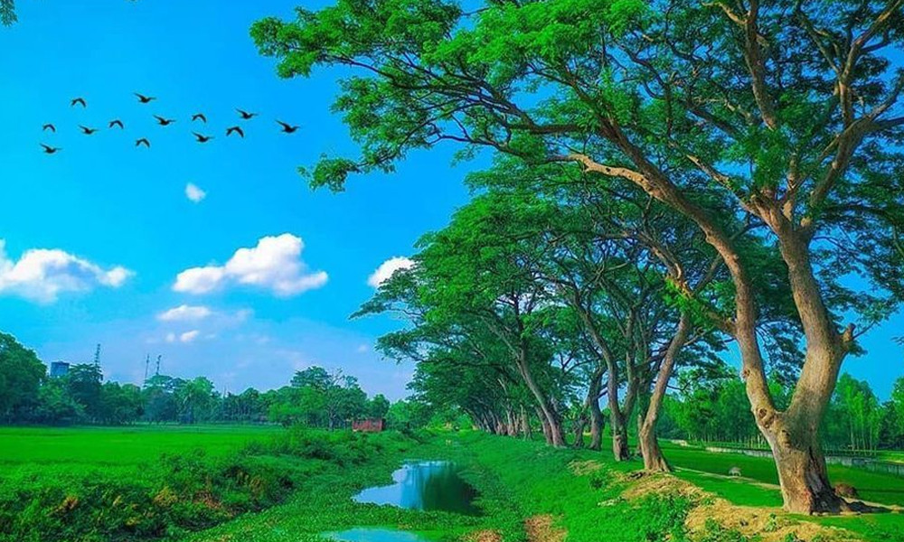 বিশ্ব পরিবেশ দিবস ও ইসলাম