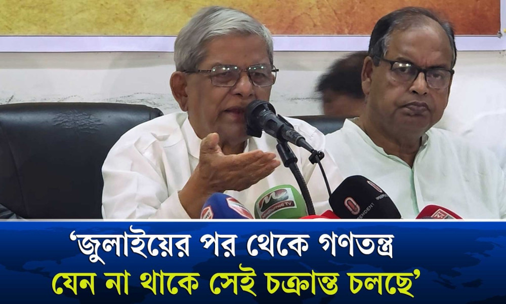 আমার মনে হয়, গণতন্ত্র খুব বিপদে পড়েছে : মির্জা ফখরুল