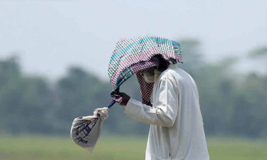 তাপপ্রবাহে পুড়ছে ৩৮ জেলা