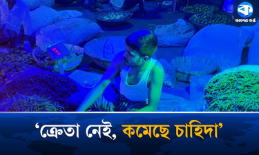 কাঁচা মরিচ সরবরাহ বেশি, ক্রেতা কম