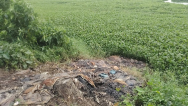 ঈদের ৯ দিন পরও অপসারণ হয়নি চামড়া, বাড়ছে স্বাস্থ্যঝুঁকি