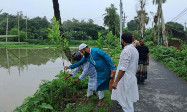 বিশ্ব পরিবেশ দিবস উপলক্ষে বসুন্ধরা শুভসংঘের গাছের চারা বিতরণ