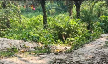 চাঁপাইনবাবগঞ্জের গোমস্তাপুর সীমান্তে ২৮ জনকে পুশ ইনের চেষ্টা