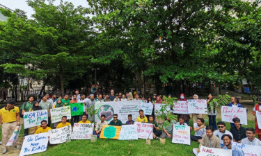 পরিবেশ দিবসে একযোগে ৬৪ জেলায় বৃক্ষরোপণ