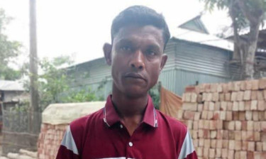 ঘোড়াকে বাঁচাতে গিয়ে প্রাণ গেল ঘোড়াগাড়ি চালকের